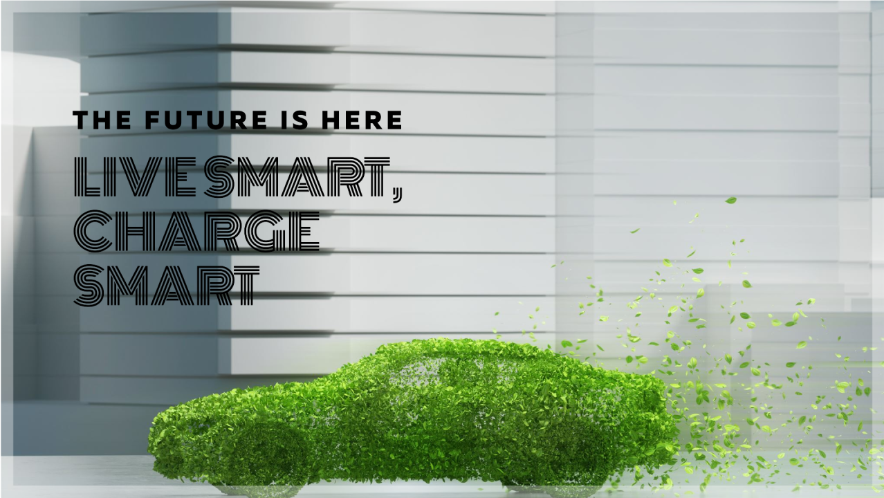 Are people with electric cars a bit thick?